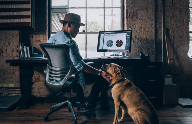 distracted man petting his dog while working from home